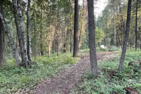 95254 260986 in0 oUhNyi27m04orJJIT0owc5yLSD8Ta84qmybpj0 66159f8e64d16.jpg