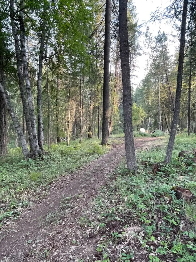 95254 260986 in0 oUhNyi27m04orJJIT0owc5yLSD8Ta84qmybpj0 66159f8e64d16.jpg