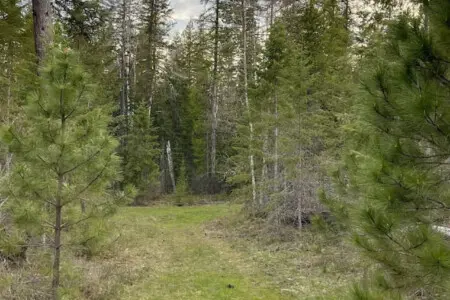 95254 260987 9EaNoaSuorX6oB9ZO0gMAKgVn5mh8lPiY8jTlHnVVTQ 66159f6a30af5.jpg