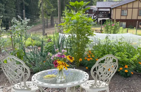 95254 260987 IKeGFWPCKe ooGsI0Rnx1Xb811luUX2HdwVLwvWZX4 69c5aa3d7f4f6.jpg