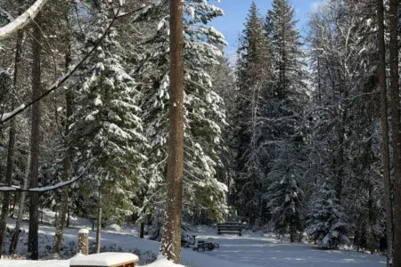 95254 260987 7gZesjr8s6phIIyIwvBWot3AOoAdIeMnMKpUUNupUto 69c5ab3821229.jpg