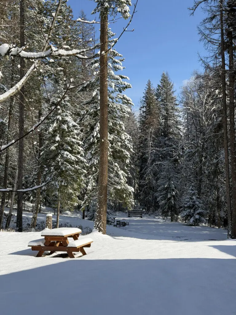 95254 260987 7gZesjr8s6phIIyIwvBWot3AOoAdIeMnMKpUUNupUto 69c5ab3821229.jpg