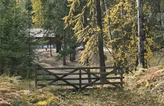 95254 260987 BgowgoXI1 cP3Pl frd7aUkvDaTY8PzaILeMXOZpFwo 69c5ab0fee57e.jpg