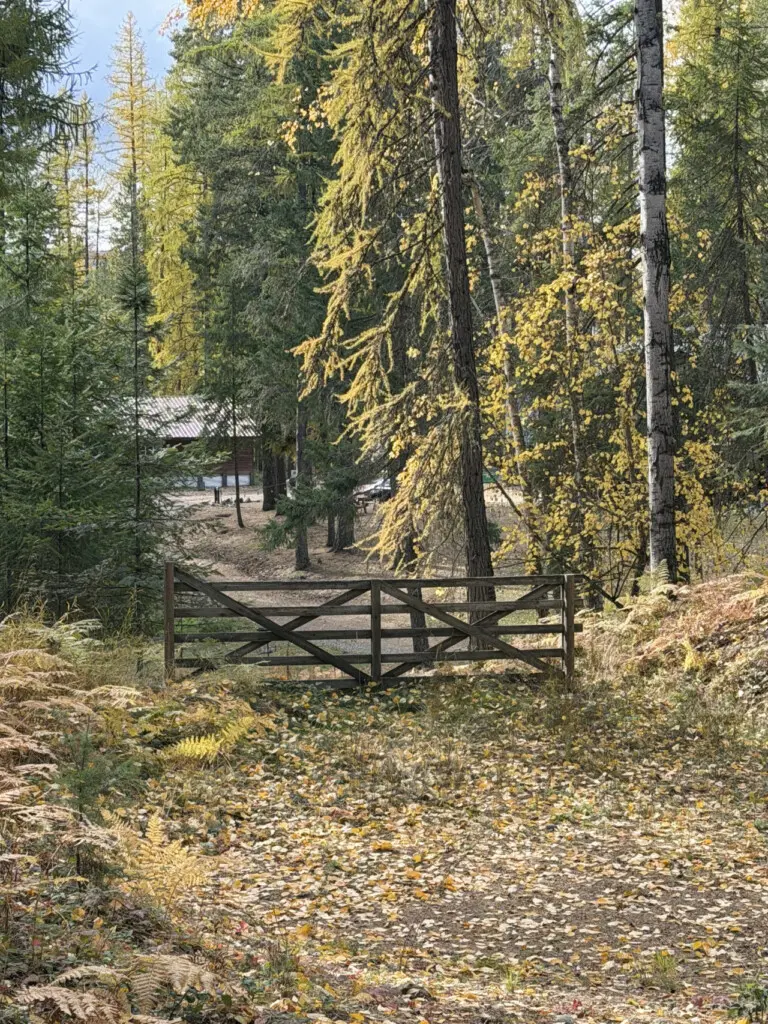 95254 260987 BgowgoXI1 cP3Pl frd7aUkvDaTY8PzaILeMXOZpFwo 69c5ab0fee57e.jpg