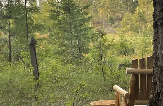 95254 260987 IfSKGg7tDWJ4LbYKnXKqtRN55kGjPKoWkRxeZN DiKs 69c5aaa857964.jpg