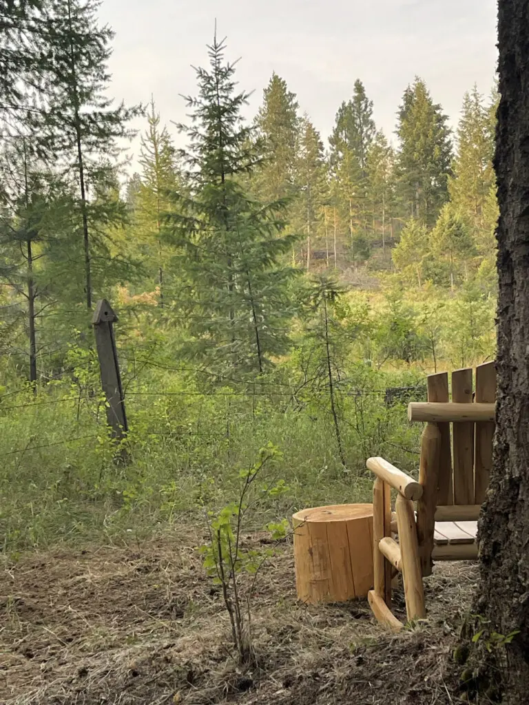 95254 260987 IfSKGg7tDWJ4LbYKnXKqtRN55kGjPKoWkRxeZN DiKs 69c5aaa857964.jpg