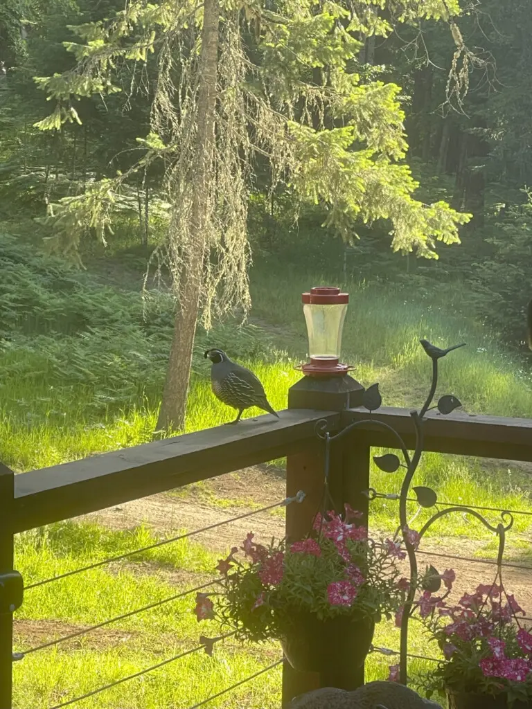 95254 260987 Lu43FXffIFg7yoUxvehBVyLz8Xs287y2CiK1z27Hn70 69c5aacbc4b0a.jpg