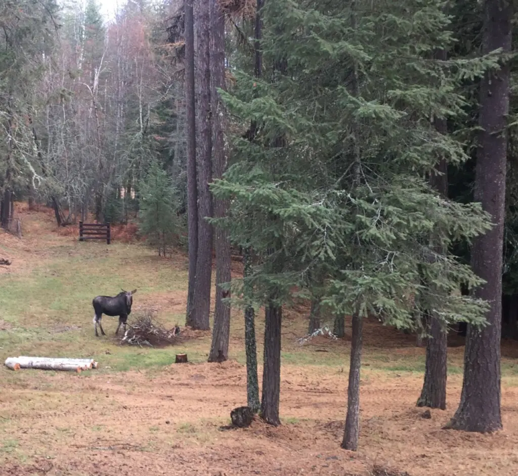 95254 260987 PpO5l5vuvf4Fu5okMIoS5rPPZCH7 dzI2LdM7gAq5oE 69c5aaec8fbd0.jpg