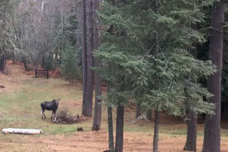 95254 260987 PpO5l5vuvf4Fu5okMIoS5rPPZCH7 dzI2LdM7gAq5oE 69c5aaec8fbd0.jpg