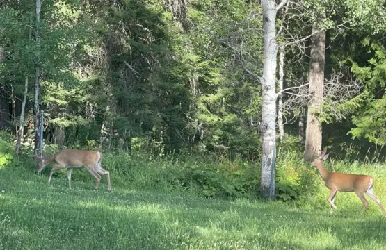 95254 260987 XN8 ewRiJBIsR5exb0PBIptXcJ4NYFFfGYJWl6Zjtbo 69c5aafd59220.jpg