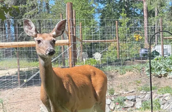 95254 260987 bVhzFYAZ9FoxX1HAaqkG7Bnsi lkEHk2KC nYQvvRMY 69c5aa4acc99f.jpg