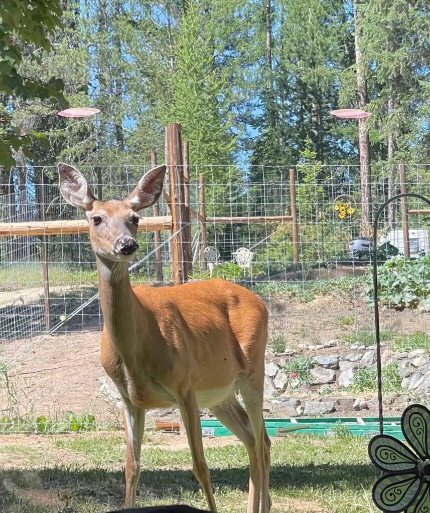 95254 260987 bVhzFYAZ9FoxX1HAaqkG7Bnsi lkEHk2KC nYQvvRMY 69c5aa4acc99f.jpg