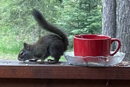 95254 260987 mgP8V31mVdfcuFuJaytQ2lJNkzZ Yzau7Kc4hGu93xA 69c5aadc72402.jpg