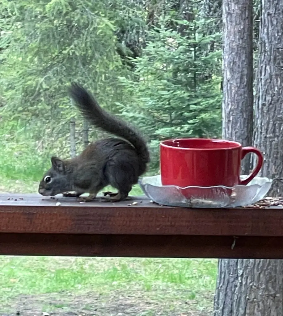 95254 260987 mgP8V31mVdfcuFuJaytQ2lJNkzZ Yzau7Kc4hGu93xA 69c5aadc72402.jpg