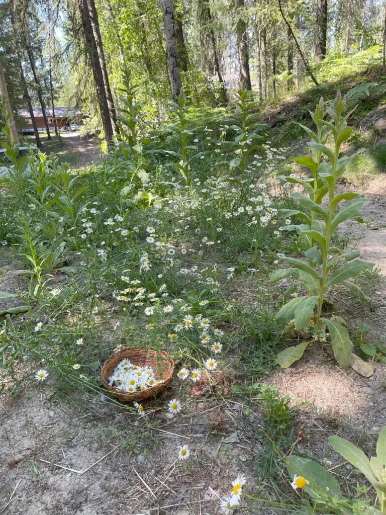 95254 260987 swJao9WD0wIYGpLKsEZW9jBQUNR9Q8 Z6ebHm7ZcDes 69c5aabae667a.jpg