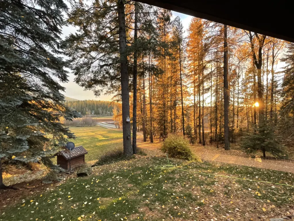 95254 260987 x 8DlG49IlUEe2kAztODgmcaQkXML7nNGSOYzSqsIsg 69c5aa780e4fa.jpg