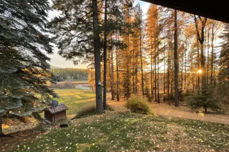 95254 260987 x 8DlG49IlUEe2kAztODgmcaQkXML7nNGSOYzSqsIsg 69c5aa780e4fa.jpg